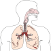 Patofyziológia vonkajšieho dýchania