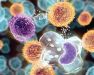 Imunológia - ako pracuje imunitný systém